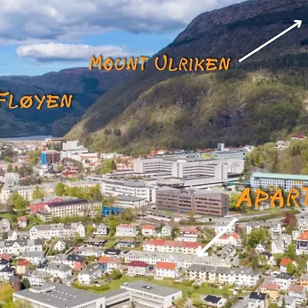 Cozy Near Center And The Mountains Апартаменти Берген