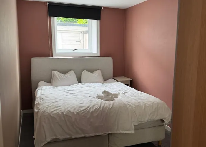 Cozy Near Center And The Mountains 公寓 *